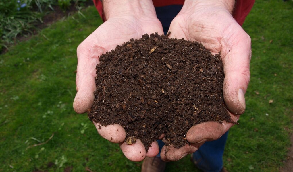 Fra affald til guld: Trin-for-trin guide til at omdanne haveaffald til næringsrig kompost med din kompostkværn