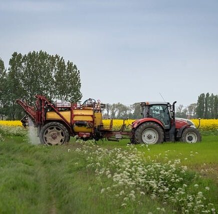 Ukrudtsbekæmpelse i belægninger: Hvad virker egentlig?