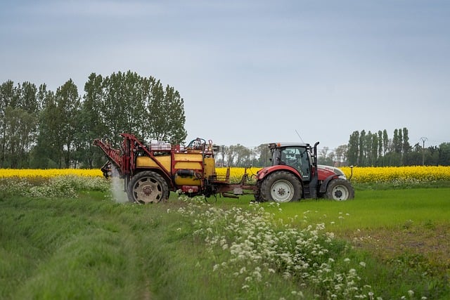 Ukrudtsbekæmpelse i belægninger: Hvad virker egentlig?