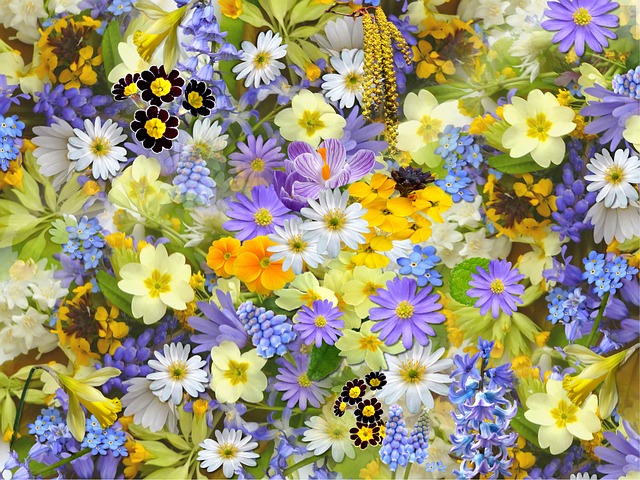 Kunstig blomstekunst: Mød kunstneren, der skaber magiske blomsterlandskaber