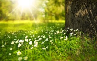 Sundhed og velvære i naturen: Sådan booster du dit velvære med udendørsliv