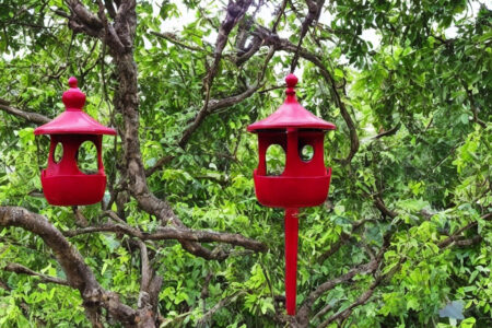 Nyd synet af fuglelivet med en Esschert Design fuglefoderautomat
