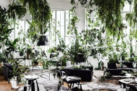 Plantestativer og planteophæng: 5 trendy måder at indrette med planter på
